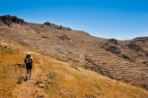 sendero en la gomera