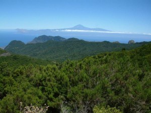 parque-nacional-2_0