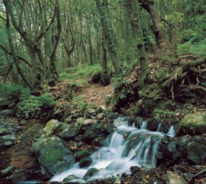 parque-nacional-riachuelo_0