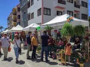 Imagen de esta actividad hoy sábado en San Sebastián de La Gomera