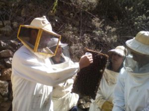 Experiencias abejas en Vallehermoso 1
