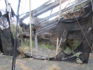 Imagen de una zona del Jardín Botánico del Descubrimiento (Foto Sí se puede)