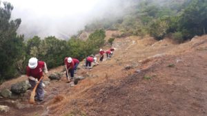 trabajadores-en-las-nieves-1