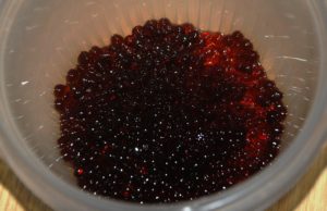 Caviar de Miel de Palma