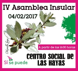 Asamble Insular de Sí se puede