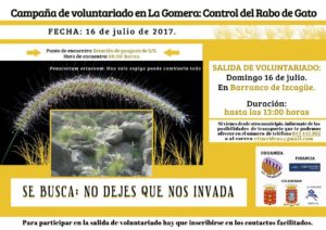 Campaña de voluntariado julio