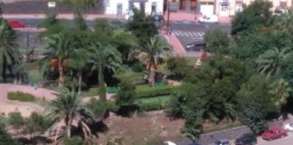 Nueva Canarias en Hermigua desconcertada por la tala desproporcionada de árboles en el Parque Municipal de El Curato