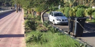 El PSOE preocupado por el “lamentable” estado en que se encuentran los jardines públicos