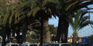 El Cabildo inicia la entrega de las Tarjetas de Descuento Inmediato DISA al sector del taxi de la Isla