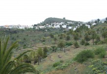 La Asociación de Ganaderos y Agricultores de ‘Vega Redonda’ abre el plazo de inscripción para nuevos socios