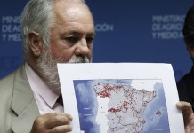 Arias Cañete pedirá a la UE que se active el Fondo Europeo de Solidaridad para los fuegos de Valencia y La Gomera