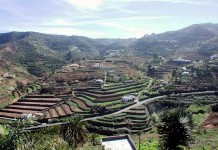 El Cabildo de La Gomera abre la convocatoria pública para concesión de licencias de ocupación de huertos