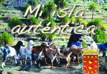 El Cabildo agradece la alta participación en el concurso fotográfico “Mi isla auténtica”