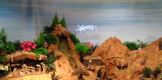 El Belén del Cabildo de La Gomera abre sus puertas