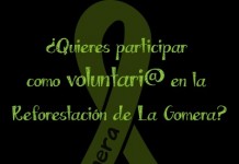 Comienza la Campaña de Voluntariado ‘Reforestación Burrito La Gomera’