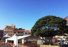 La Carrera Vertical de montaña ‘La Mérica’ se celebrará el próximo 21 de mayo en Valle Gran Rey
