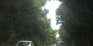 El Cabildo licita las obras de mejora de la carretera que transcurre por el ‘Garajonay’