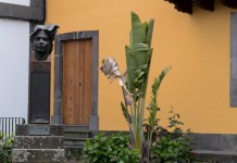La Casa Museo Tomás Morales de Moya da a conocer la obra de Pedro García Cabrera