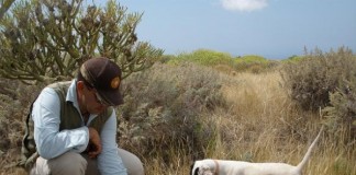 El Cabildo de La Gomera anuncia la apertura de los campos de entrenamiento de caza 2017