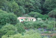 Internet se vuelca para mostrar La Gomera
