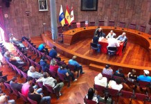 Cabildo y Servicio Canario de Empleo contratan a 89 personas en La Gomera para reponer las zonas afectadas por el incendio