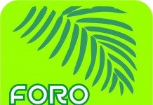 Nace Foro Aliud