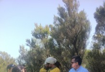 El Vicepresidente del Cabildo y la consejera de área del Territorio visitan la zona del incendio