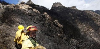Declaran la situación de alerta por riesgo de incendios en las islas occidentales y Gran Canaria