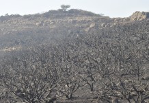 Una persona presenta pruebas ante la Guardia Civil de La Gomera acusando al detenido el pasado lunes como presunto autor de los incendios