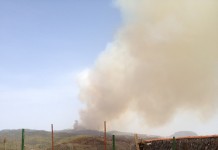 La situación es “excesivamente preocupante”,según el vicepresidente del Cabildo de La Gomera