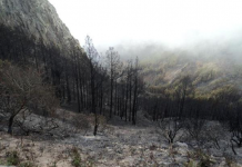 Los dispositivos logran ‘acotar’ por el momento el incendio de Las Tajoras en Vallehermoso