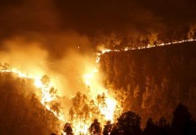 El siniestro gomero obliga a revisar normas