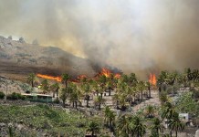 AI y prevención de incendios en zonas montañosas