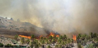 AI y prevención de incendios en zonas montañosas