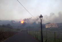 La dirección de extinción del Cabildo Insular declara extinguido el incendio de La Gomera