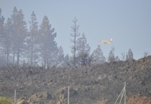 Curbelo confirma que se abre al tráfico la carretera del Parque Nacional de Garajonay ante la mejoría del estado del incendio