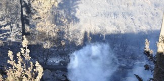 Iniciativa por La Gomera (IxLG) recuerda el fatídico incendio de 2012