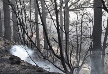 El incendio está “prácticamente estabilizado”