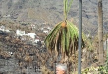 El Obispo visita este fin de semana las zonas afectadas por el incendio de La Gomera