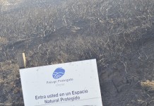 Hay indicios «evidentes» de que los incendios de La Gomera puedan ser provocados y las investigaciones están muy avanzadas