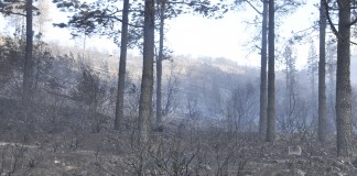 Piden que declare el militar que estuvo al mando de la UME en incendio de La Gomera