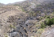 El Cabildo de La Gomera destina 114.900 Euros para brigadas de extinción de incendios