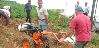 El Cabildo destina cerca de 400 mil euros al apoyo del sector primario en La Gomera