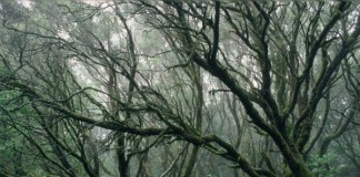 UNA ISLA ABASTECIDA DE SOL, MAR Y VIENTO