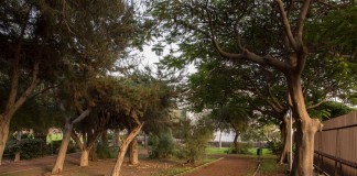 El Ayuntamiento adjudica las obras del primer parque canino de San Sebastián