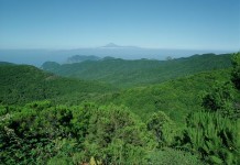 El sector turístico se interesa por La Gomera en los dos primeros días de estancia en Fitur