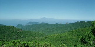 El Cabildo de La Gomera destina 3 millones de euros a la protección y mejora del medioambiente