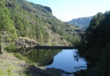 Todo el territorio gomero,y parte de la zona marina,reserva de la biosfera