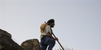 Aprobada la petición del PSOE de un plan de limpieza de montes y cortafuegos mediante ganado en pastoreo