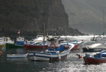 El Grupo Popular solicita al Cabildo que inste a la Consejería de Agricultura,Ganadería y Pesca del Gobierno Canario a cumplir sus compromisos con los pescadores gomeros